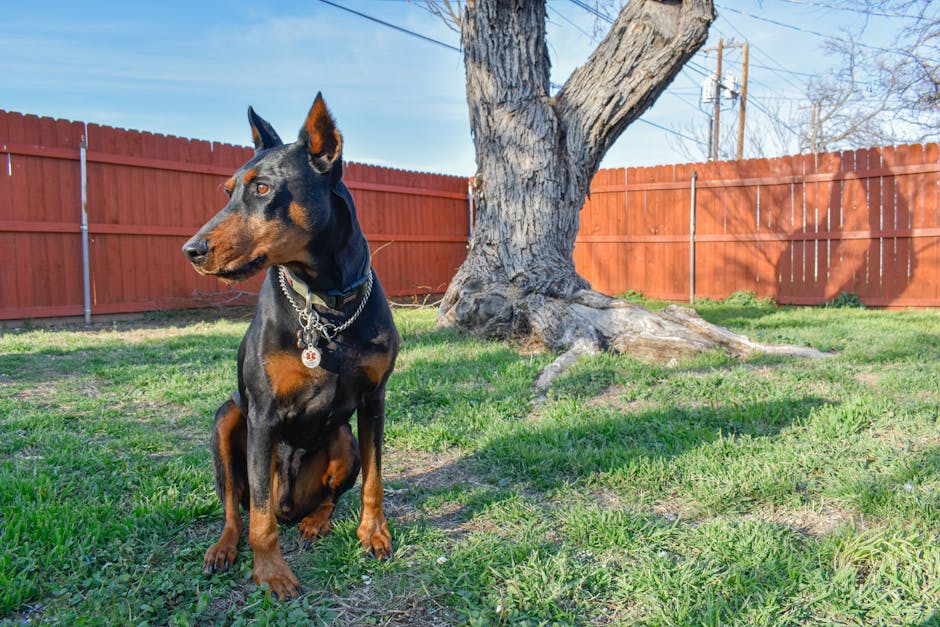 Heat Pumps grants in St Annes-on-Sea