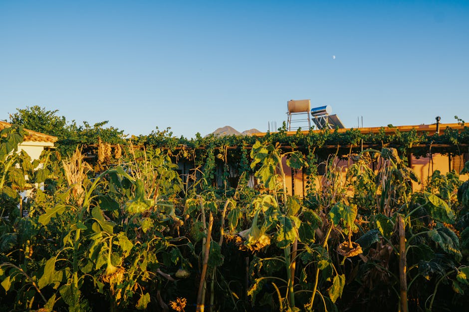 Infrared Panels hero image