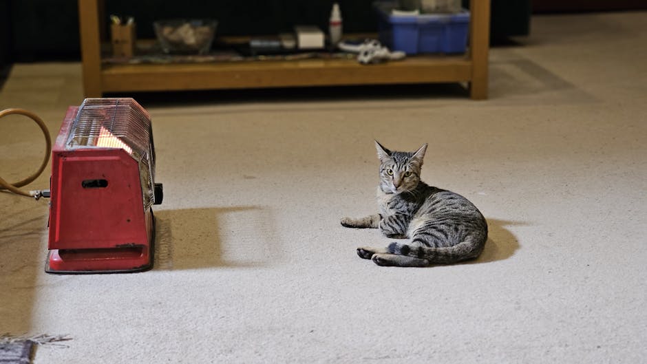 Infrared Panels grants in Newcastle upon Tyne