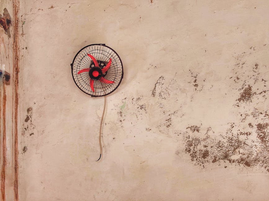 Infrared Panels installer in Clitheroe