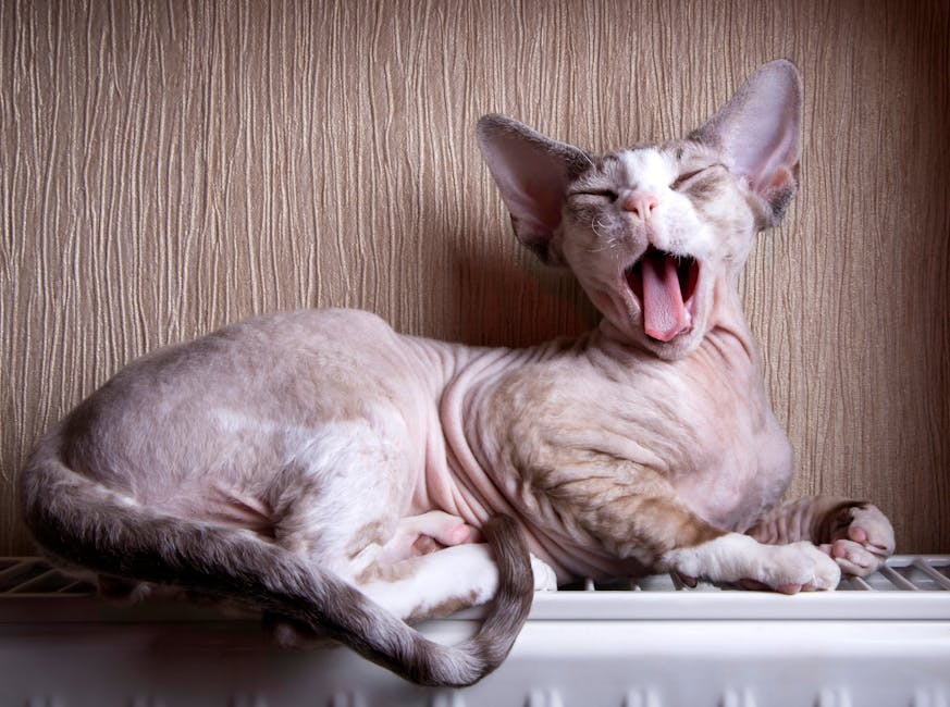 Infrared Panels installer in Maghull