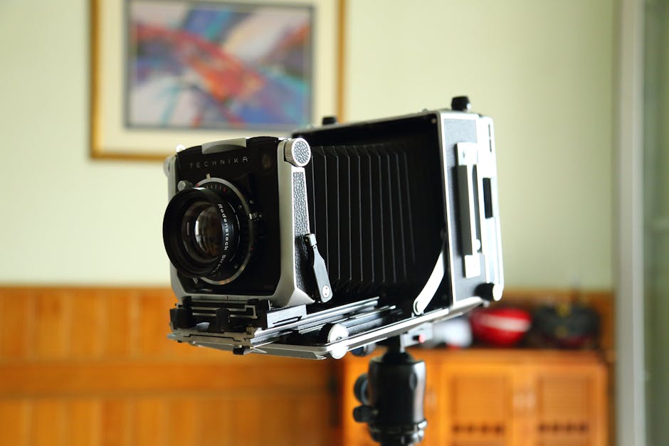 Infrared Panels installer in Newton Heath