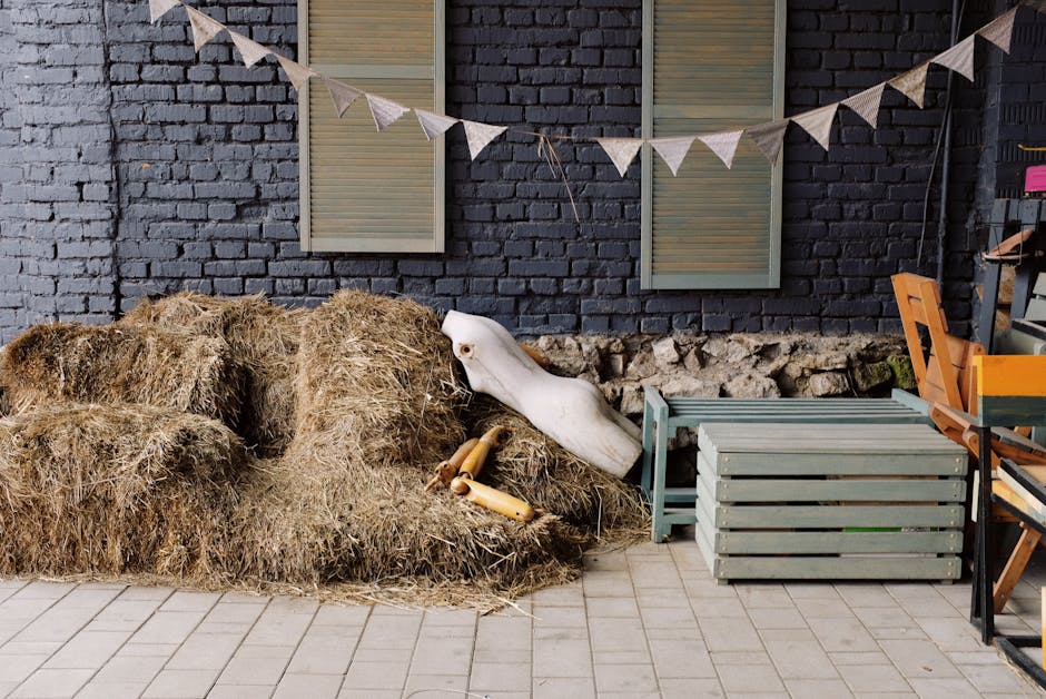 Home Insulation installer in Sheffield