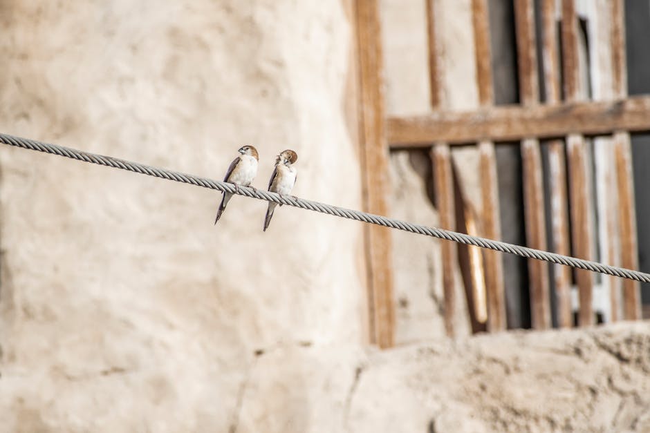 Home Insulation installer in Wigan