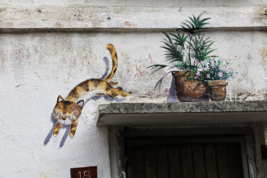 Home Insulation grants in Wolverhampton