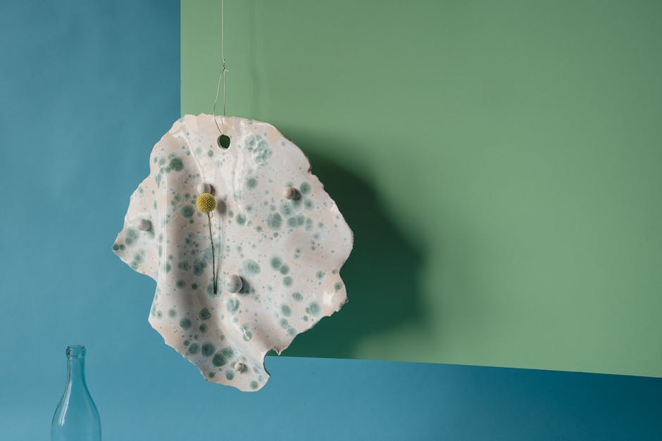 Home Insulation installer in Bamber Bridge