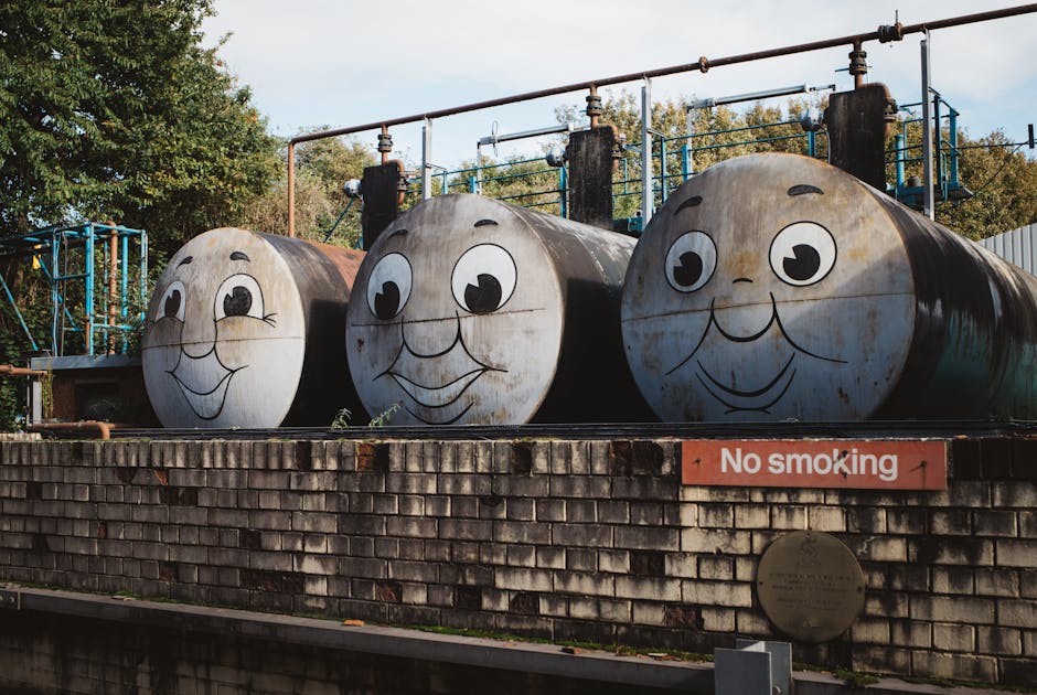 Home Insulation installer in Birkdale