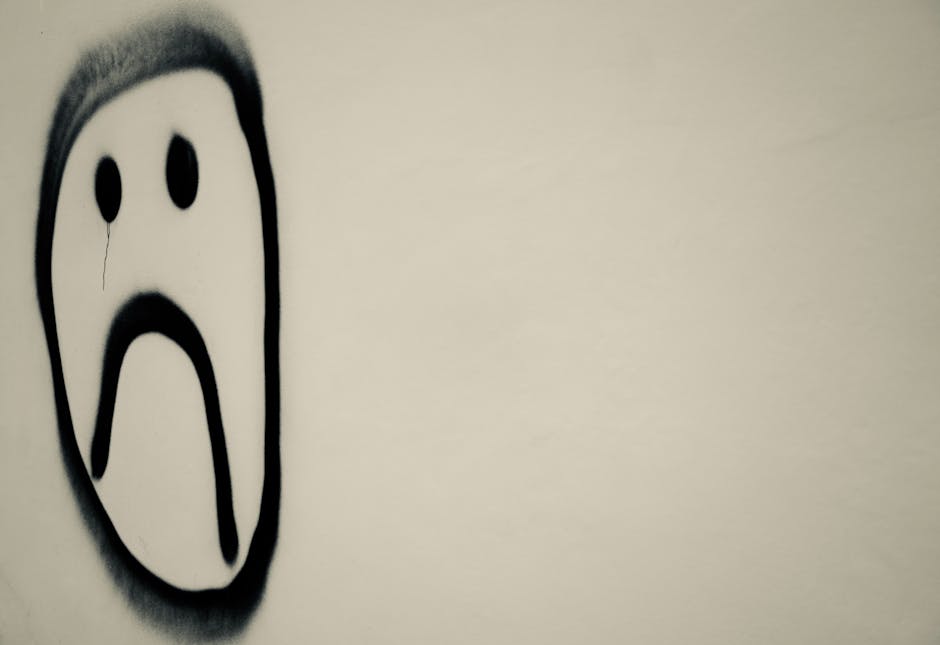 Home Insulation installer in Bowdon