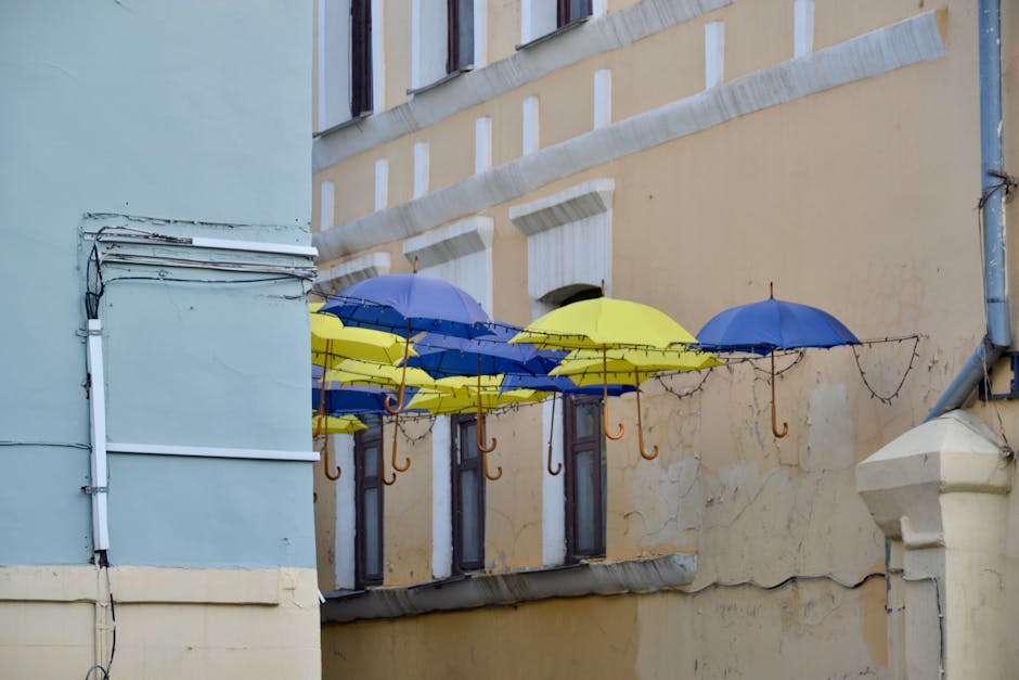 Home Insulation installer in Brierfield