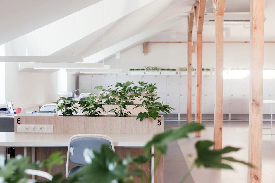 Home Insulation hero image