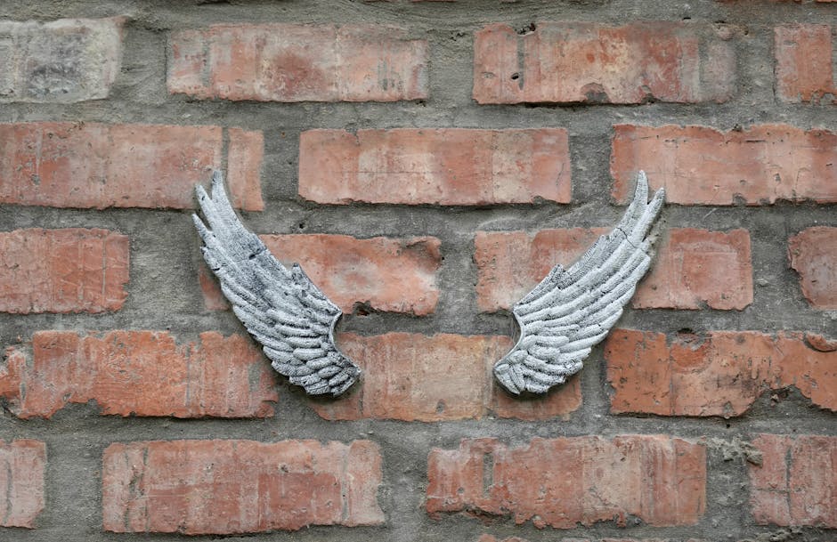 Home Insulation grants in Droylsden