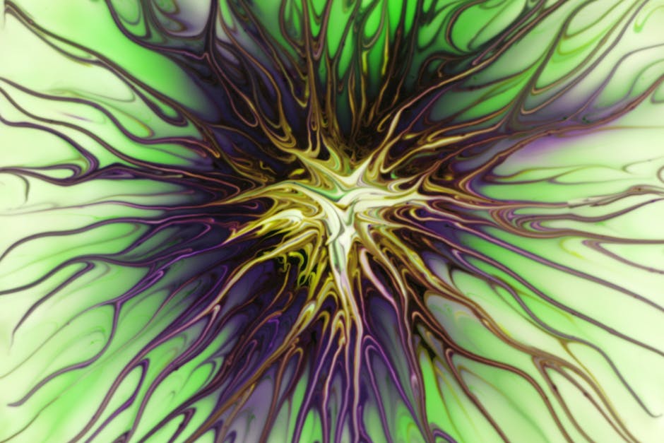 Home Insulation installer in Fulwood