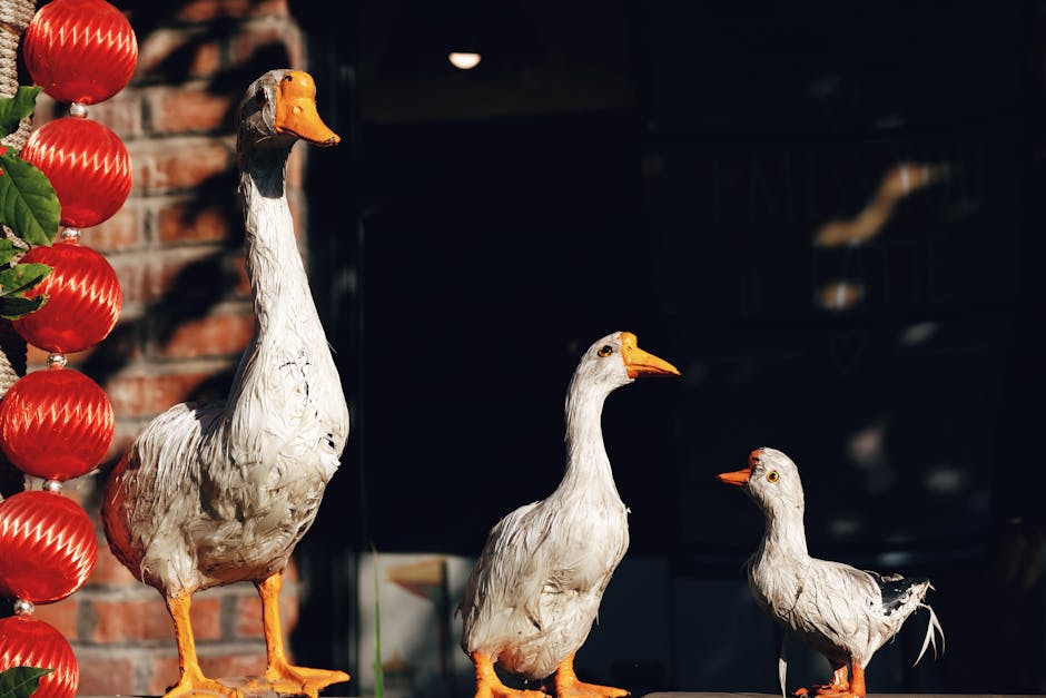 Home Insulation hero image