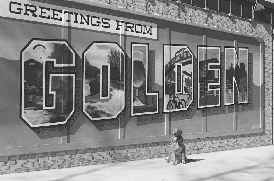 Home Insulation installer in Gatley