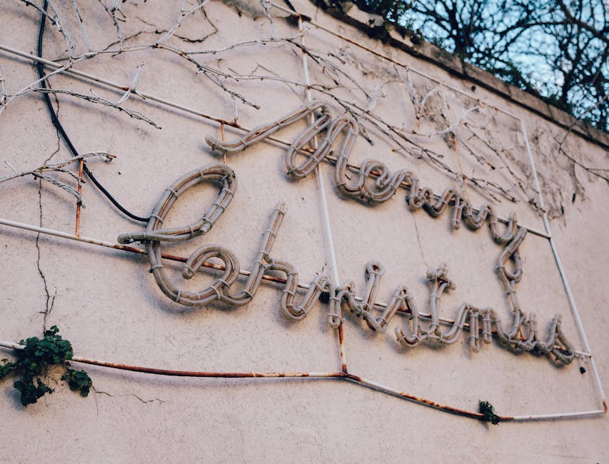 Home Insulation installer in Hattersley