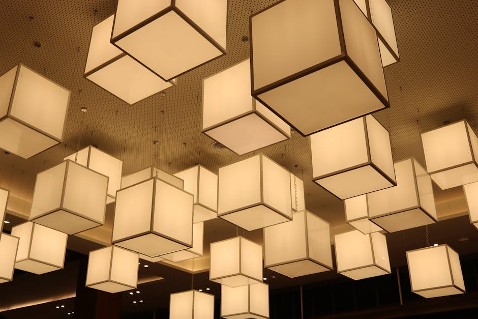 Home Insulation installer in Hazel Grove