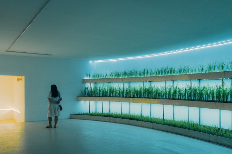 Home Insulation grants in Hulme