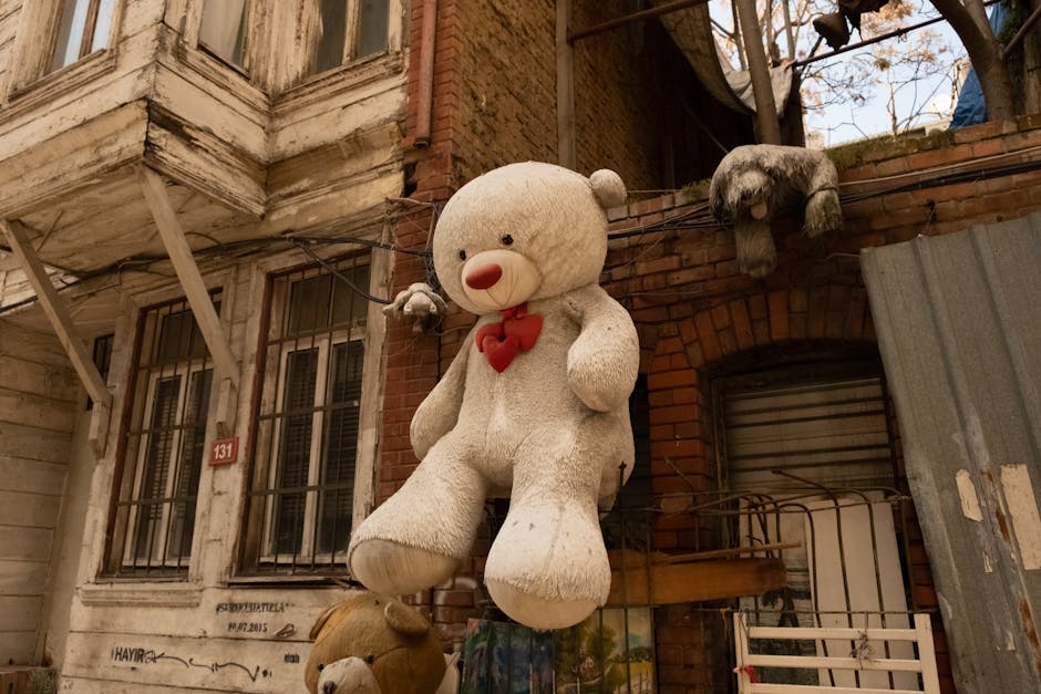 Home Insulation grants in Mottram-in-Longdendale