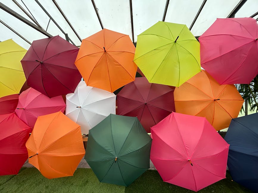 Home Insulation installer in Poulton-le-Fylde