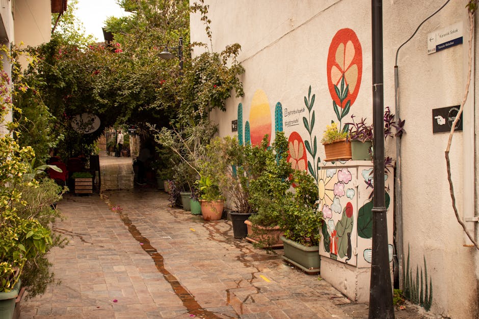 Home Insulation grants in Sale