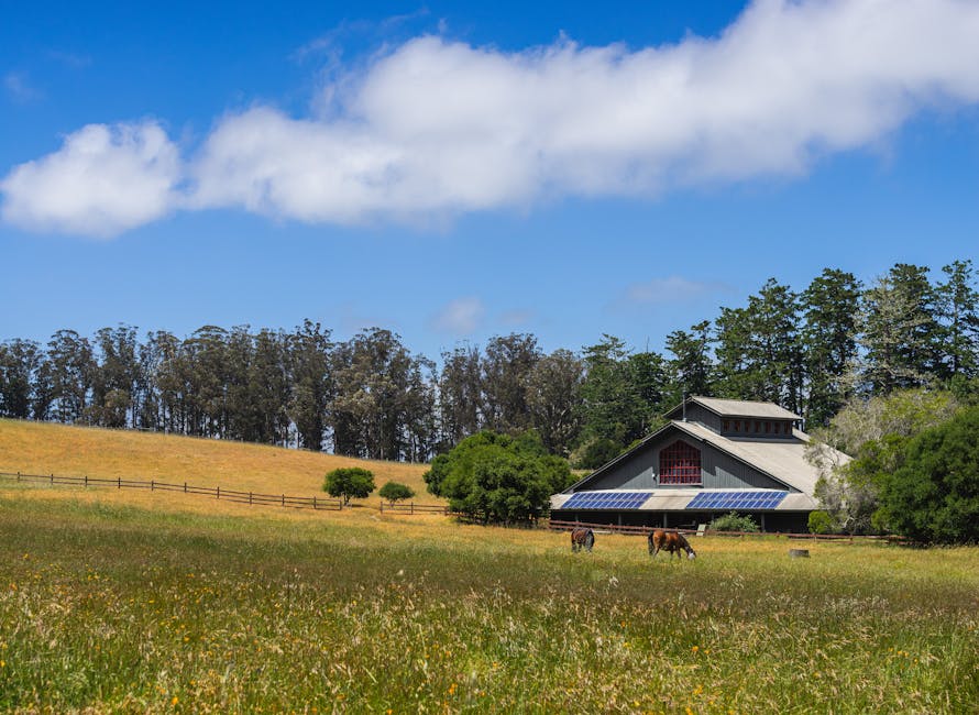 Solar Panels installer in Stalybridge