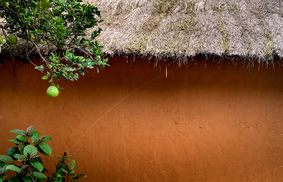 Solar Panels hero image