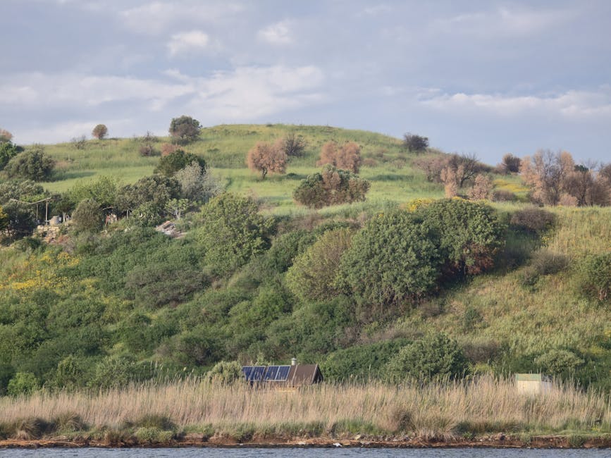 Solar Panels hero image