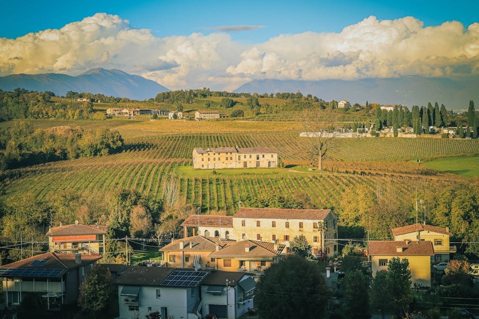 Solar Panels hero image