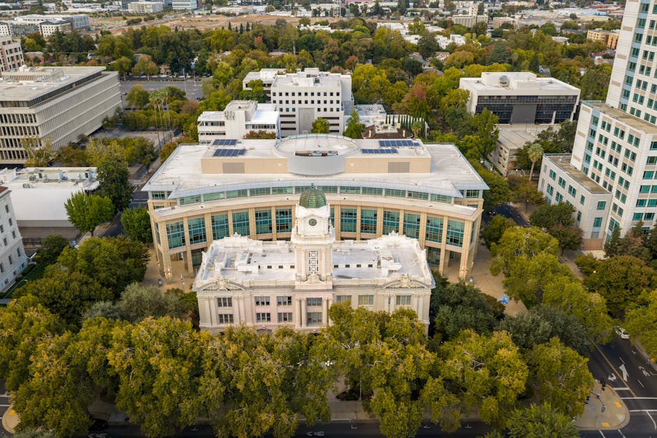 Solar Panels hero image