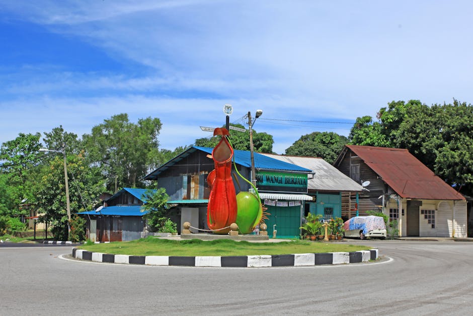 Solar Panels installer in Hale