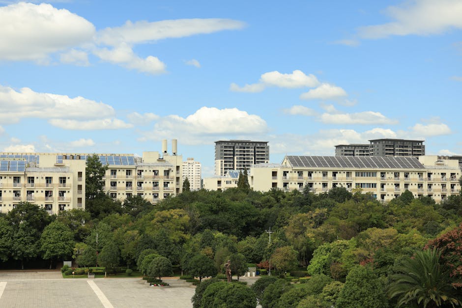 Solar Panels hero image