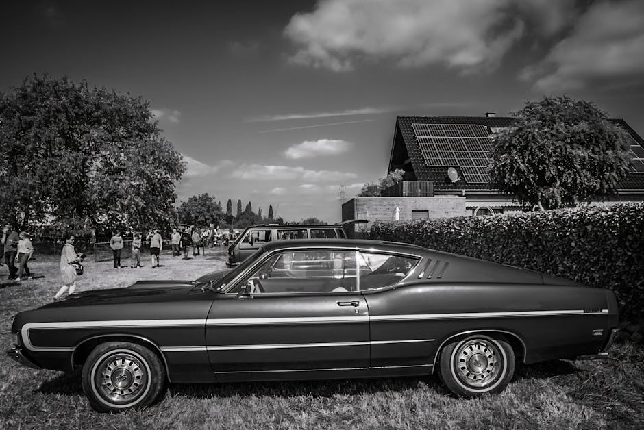 Solar Panels installer in Higher End