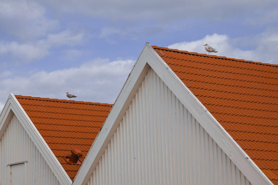 Solar Panels hero image