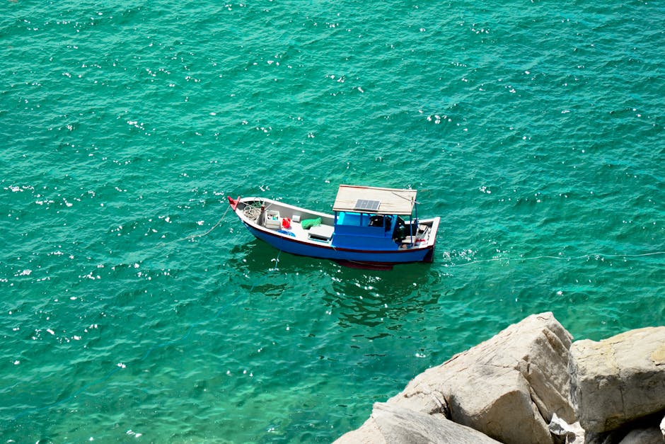 Solar Panels installer in Kirkby