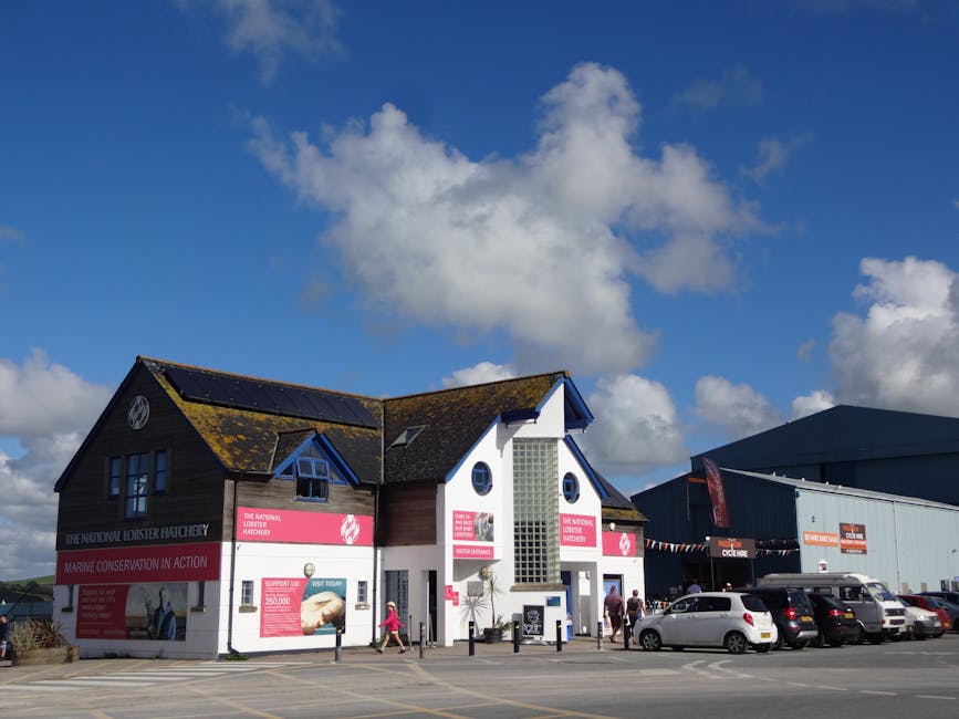 Solar Panels hero image