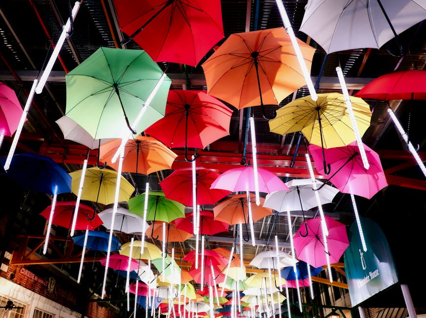 Solar Panels grants in Morecambe