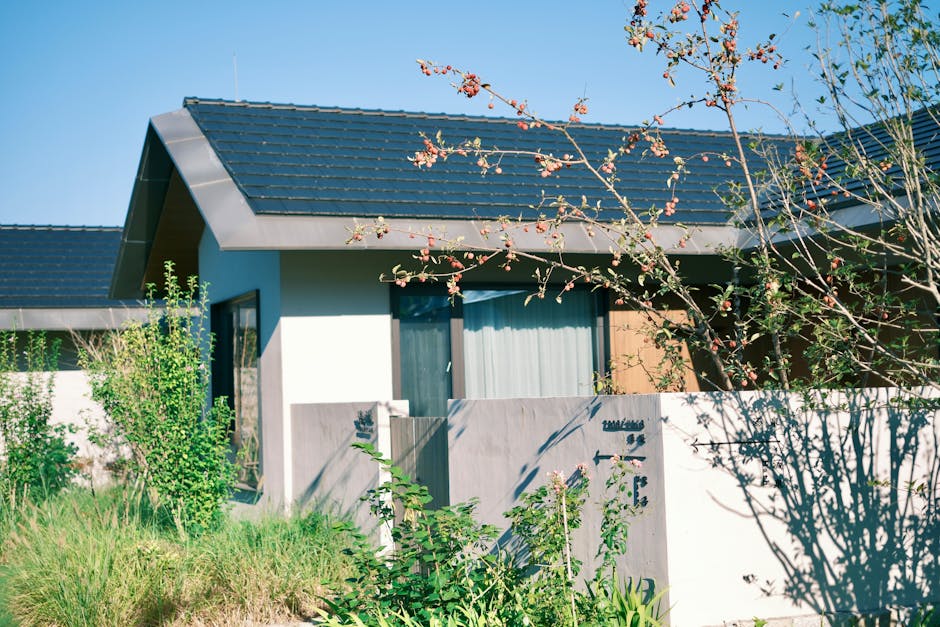 Solar Panels installer in Moreton