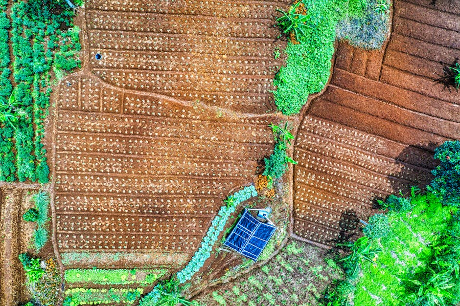 Solar Panels hero image