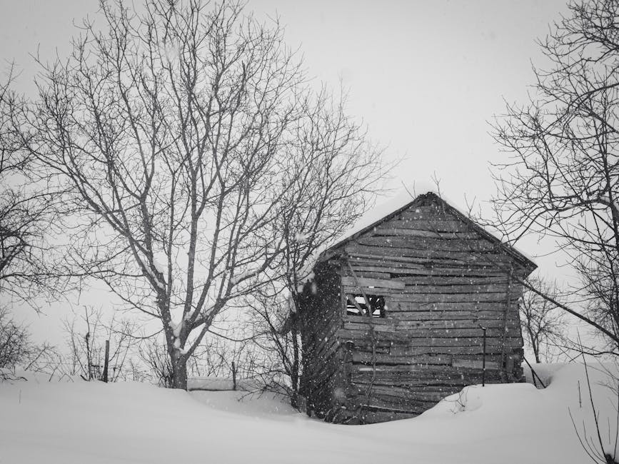 Solar Panels grants in Newhey