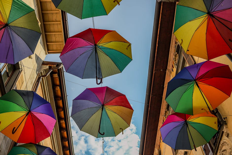 Solar Panels grants in Old Swan