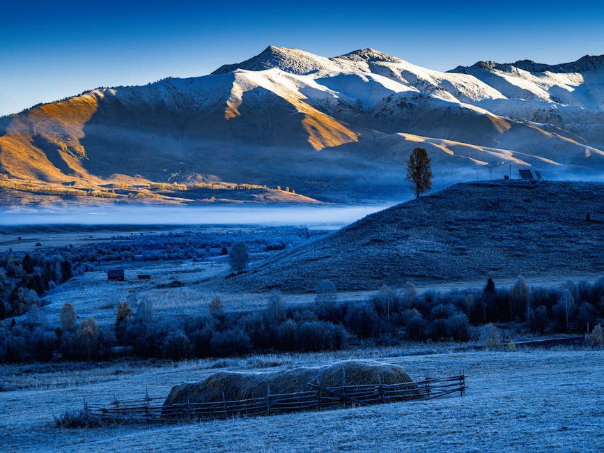 Solar Panels grants in Ribbleton