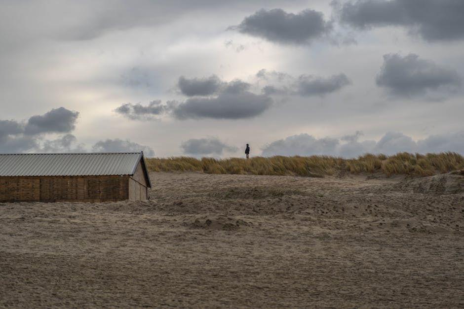 Solar Panels hero image