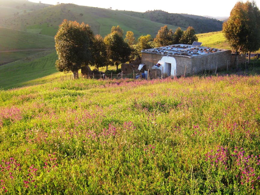 Solar Panels installer in Skerton