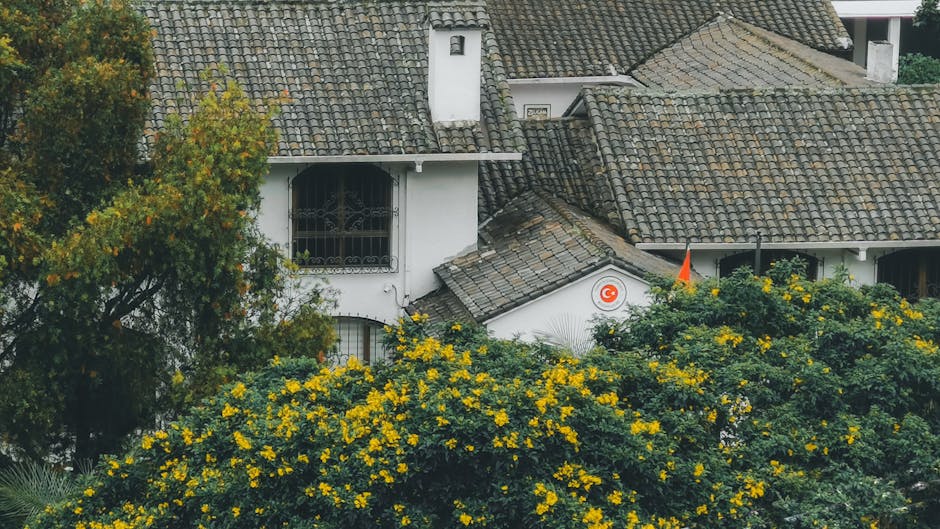 Solar Panels hero image